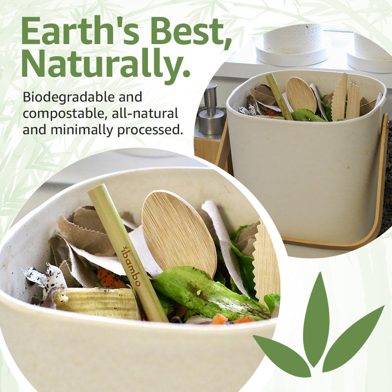 8-Inch Reusable Straws - Eco-Friendly for Sustainable Sipping