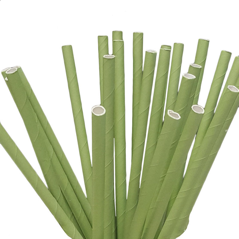 Disposable Paper Birthday Straws (Set of 100)